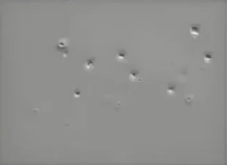 1745223371056.png 1745223371056.png